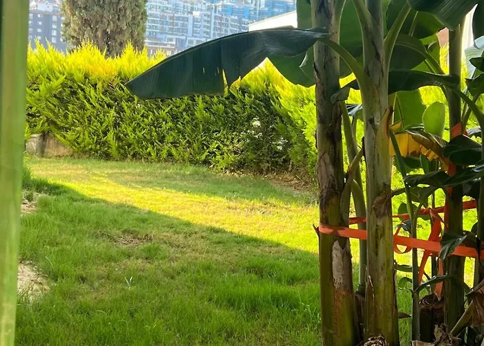 Ceylan * كوشاداسيه